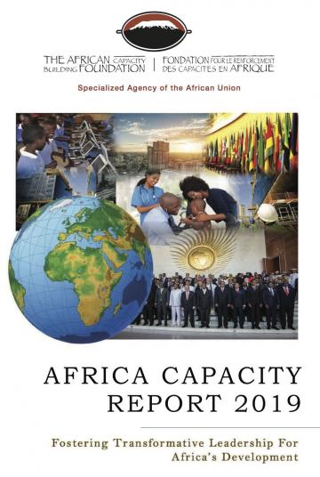Rapport sur les capacités en Afrique 2019